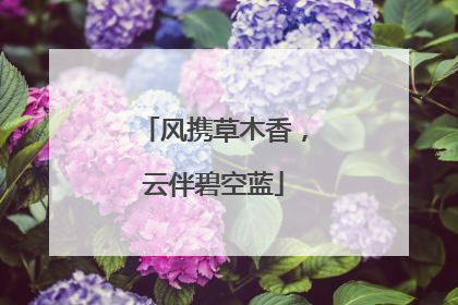 风携草木香，云伴碧空蓝