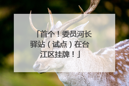 首个！委员河长驿站（试点）在台江区挂牌！