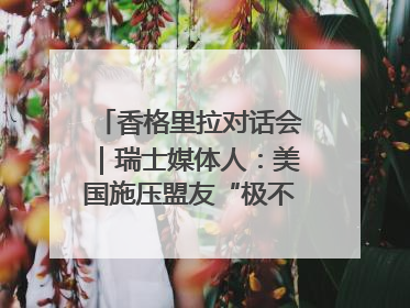 香格里拉对话会｜瑞士媒体人：美国施压盟友“极不理性” 欧洲国家无意与中国“脱钩断链”