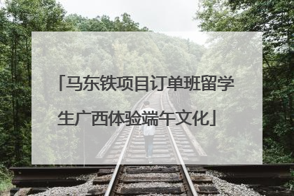 马东铁项目订单班留学生广西体验端午文化