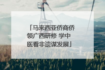 马来西亚侨商侨领广西研修 学中医看非遗谋发展