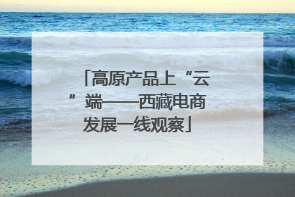 高原产品上“云”端——西藏电商发展一线观察