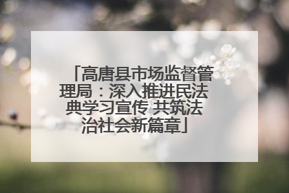 高唐县市场监督管理局：深入推进民法典学习宣传 共筑法治社会新篇章