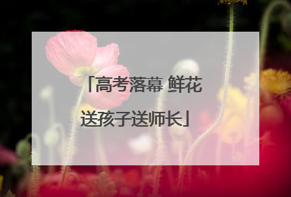 高考落幕 鲜花送孩子送师长