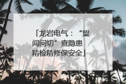 龙岩电气：“望闻问切”查隐患 精检精修保安全