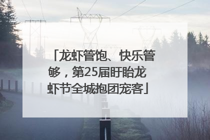 龙虾管饱、快乐管够，第25届盱眙龙虾节全城抱团宠客