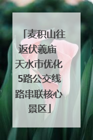 麦积山往返伏羲庙 天水市优化5路公交线路串联核心景区