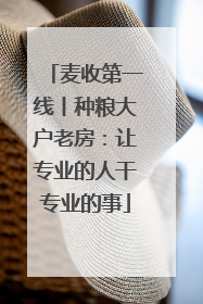 麦收第一线丨种粮大户老房：让专业的人干专业的事