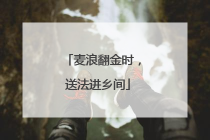 麦浪翻金时，送法进乡间