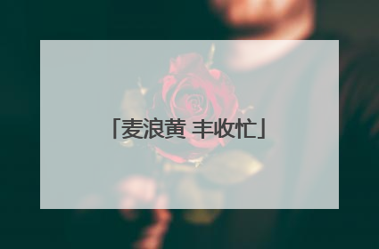 麦浪黄 丰收忙