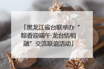 黑龙江省台联举办“粽香迎端午·龙台情相融”交流联谊活动