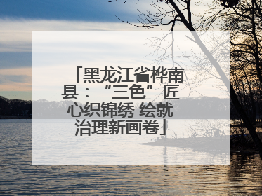 黑龙江省桦南县：“三色”匠心织锦绣 绘就治理新画卷