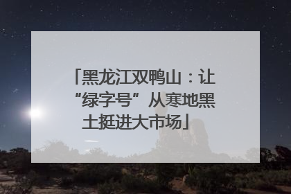 黑龙江双鸭山：让“绿字号”从寒地黑土挺进大市场