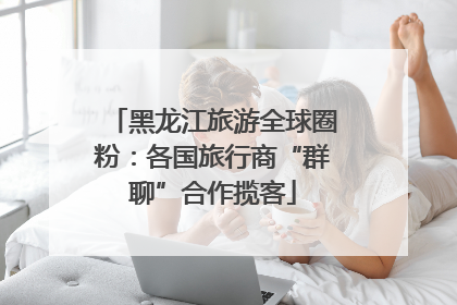 黑龙江旅游全球圈粉：各国旅行商“群聊”合作揽客