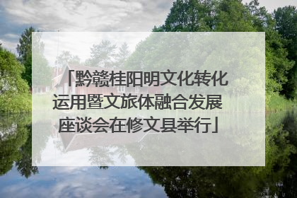 黔赣桂阳明文化转化运用暨文旅体融合发展座谈会在修文县举行