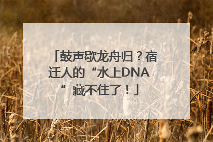 鼓声歇龙舟归？宿迁人的“水上DNA”藏不住了！