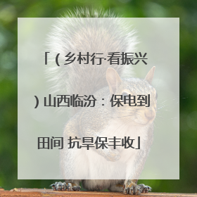 （乡村行·看振兴）山西临汾：保电到田间 抗旱保丰收