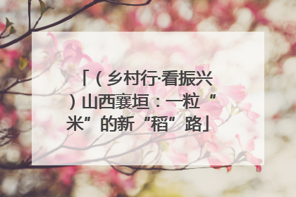 （乡村行·看振兴）山西襄垣：一粒“米”的新“稻”路