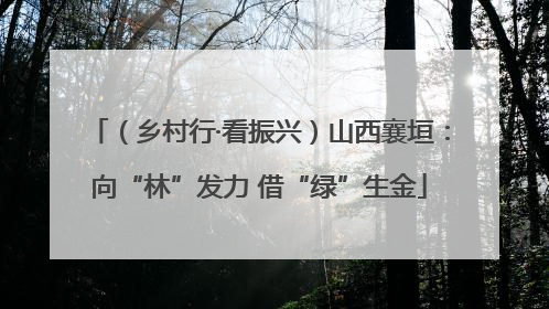 （乡村行·看振兴）山西襄垣：向“林”发力 借“绿”生金