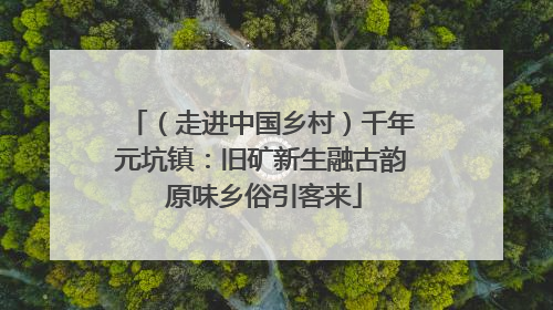 （走进中国乡村）千年元坑镇：旧矿新生融古韵 原味乡俗引客来