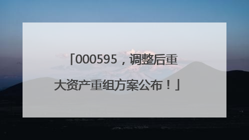 000595，调整后重大资产重组方案公布！