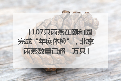 107只雨燕在颐和园完成“年度体检”，北京雨燕数量已超一万只