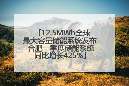 12.5MWh全球最大容量储能系统发布 合肥一季度储能系统同比增长425%