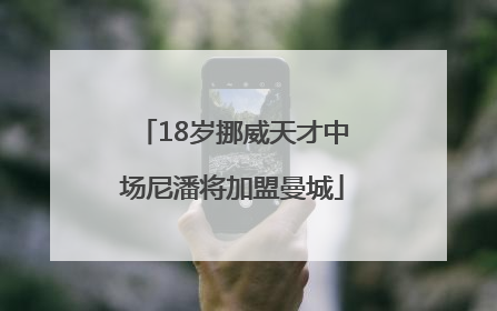 18岁挪威天才中场尼潘将加盟曼城