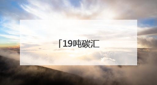 19吨碳汇补偿到位