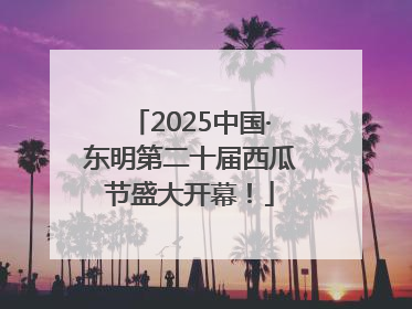 2025中国·东明第二十届西瓜节盛大开幕！