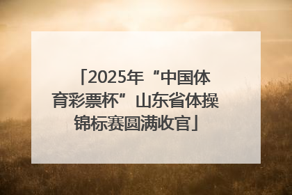 2025年“中国体育彩票杯”山东省体操锦标赛圆满收官