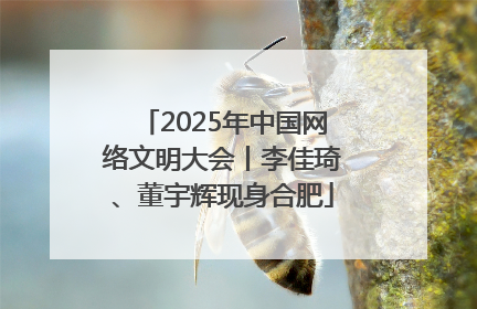 2025年中国网络文明大会丨李佳琦、董宇辉现身合肥