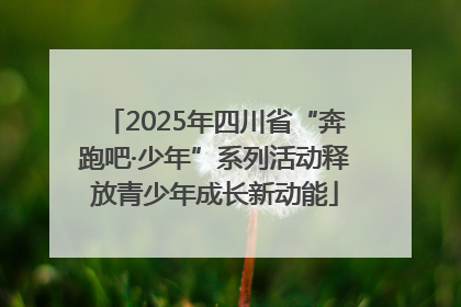 2025年四川省“奔跑吧·少年”系列活动释放青少年成长新动能