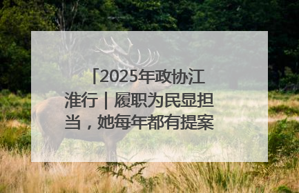 2025年政协江淮行｜履职为民显担当，她每年都有提案被评为“优秀”