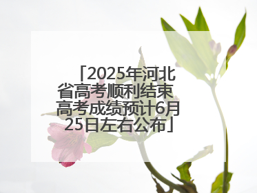 2025年河北省高考顺利结束 高考成绩预计6月25日左右公布