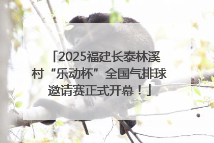 2025福建长泰林溪村“乐动杯”全国气排球邀请赛正式开幕！
