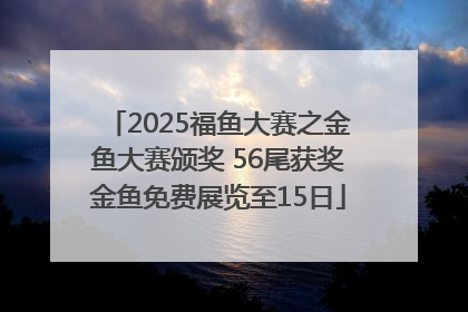 2025福鱼大赛之金鱼大赛颁奖 56尾获奖金鱼免费展览至15日