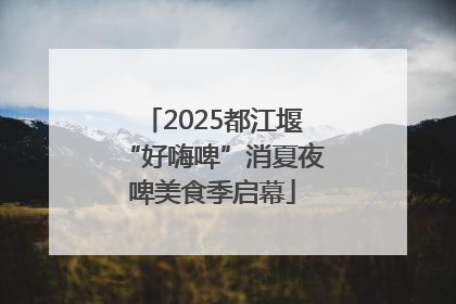 2025都江堰“好嗨啤”消夏夜啤美食季启幕