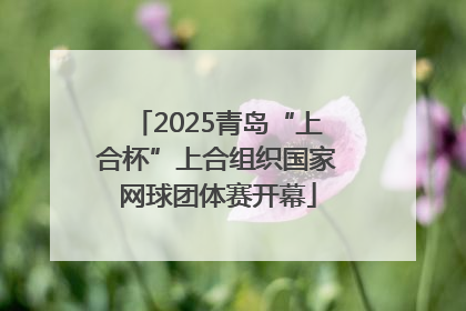 2025青岛“上合杯”上合组织国家网球团体赛开幕
