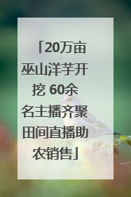 20万亩巫山洋芋开挖 60余名主播齐聚田间直播助农销售