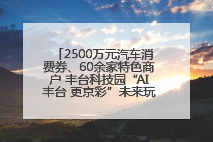 2500万元汽车消费券、60余家特色商户 丰台科技园“AI丰台 更京彩”未来玩家市集活动正式开幕