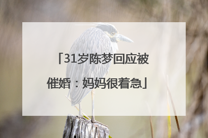 31岁陈梦回应被催婚：妈妈很着急