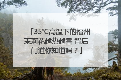 35℃高温下的福州茉莉花越热越香 背后门道你知道吗？