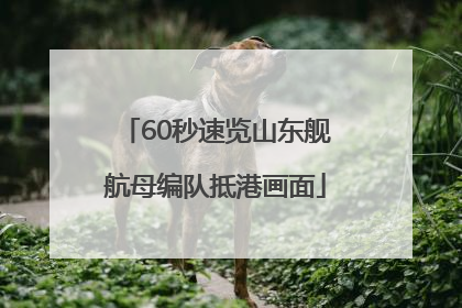 60秒速览山东舰航母编队抵港画面