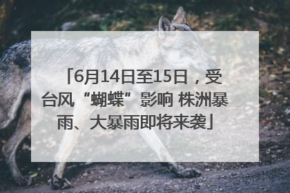 6月14日至15日，受台风“蝴蝶”影响 株洲暴雨、大暴雨即将来袭