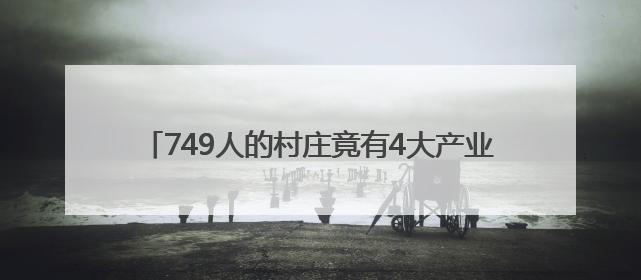 749人的村庄竟有4大产业，小官村一村多品铺就富民路