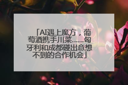 AI遇上魔方，葡萄酒携手川菜……匈牙利和成都碰出意想不到的合作机会