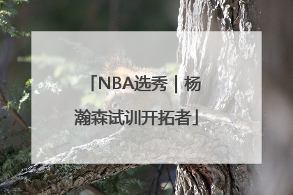 NBA选秀｜杨瀚森试训开拓者